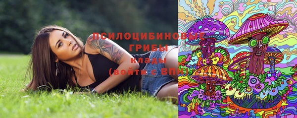 дурь Аркадак
