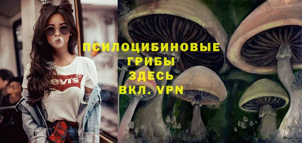 скорость Арсеньев