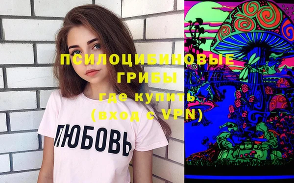 винт Алзамай