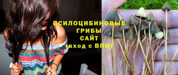 ECSTASY Армянск