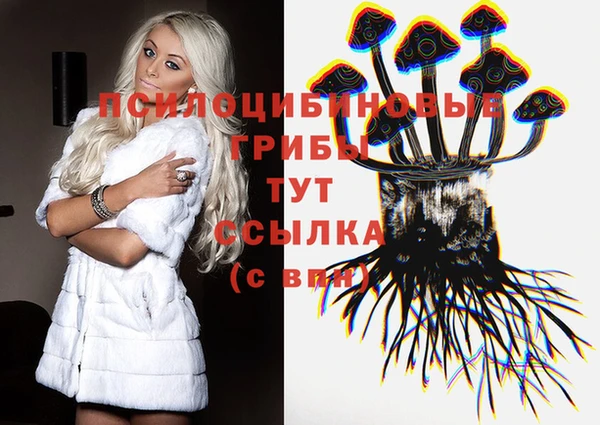 дурь Аркадак